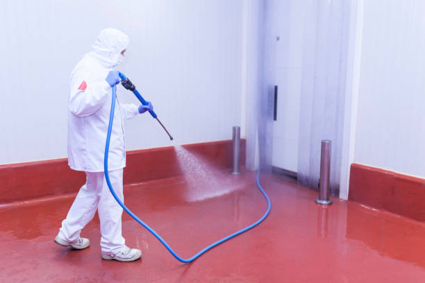  Bowie, TX Pressure Washing Pros